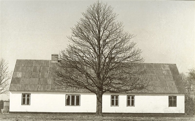 ..og sådan var den vokset til efter 65 år..(1971)