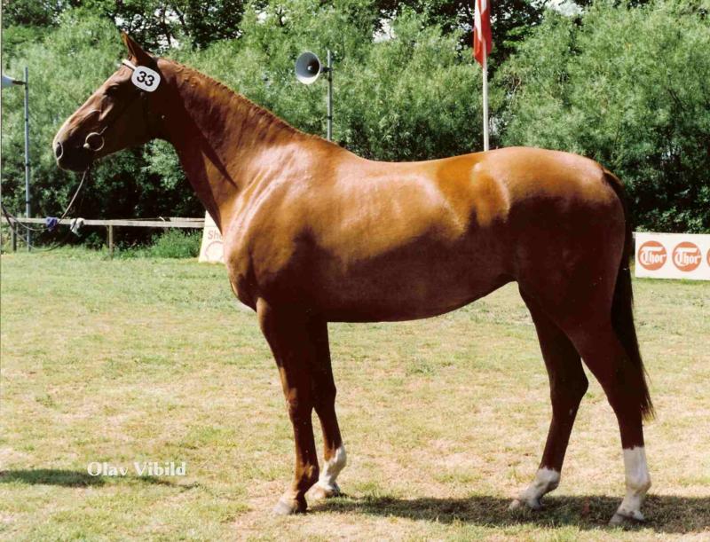 Grandessa RDH 3241