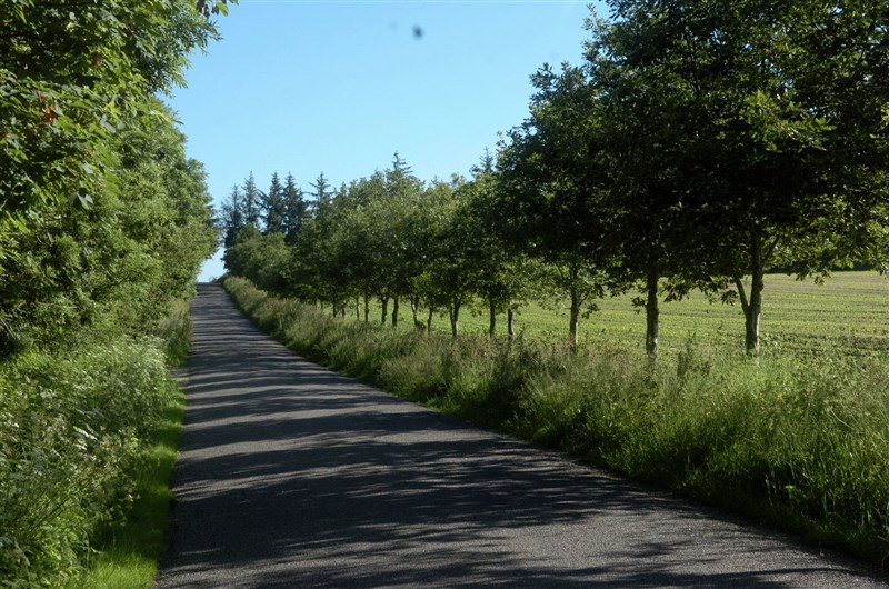 maj 2014