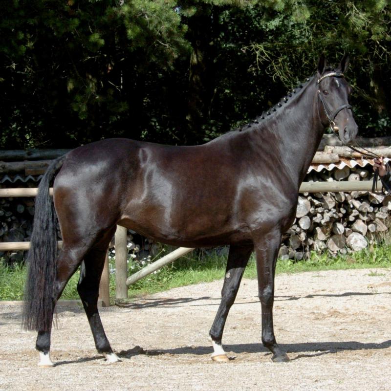Sweetheart st.pr.a.RDH.