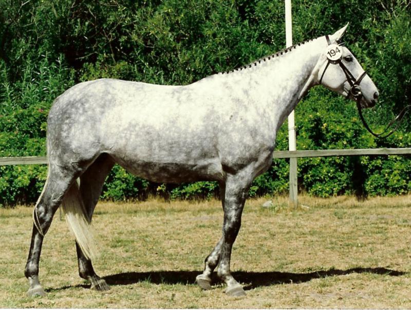 Kroenung ERDH 3259 AFK. SØLV 23