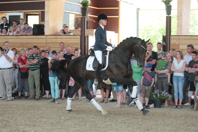 Emma Ahlberg og Zonik fra Helgstrand Dressage